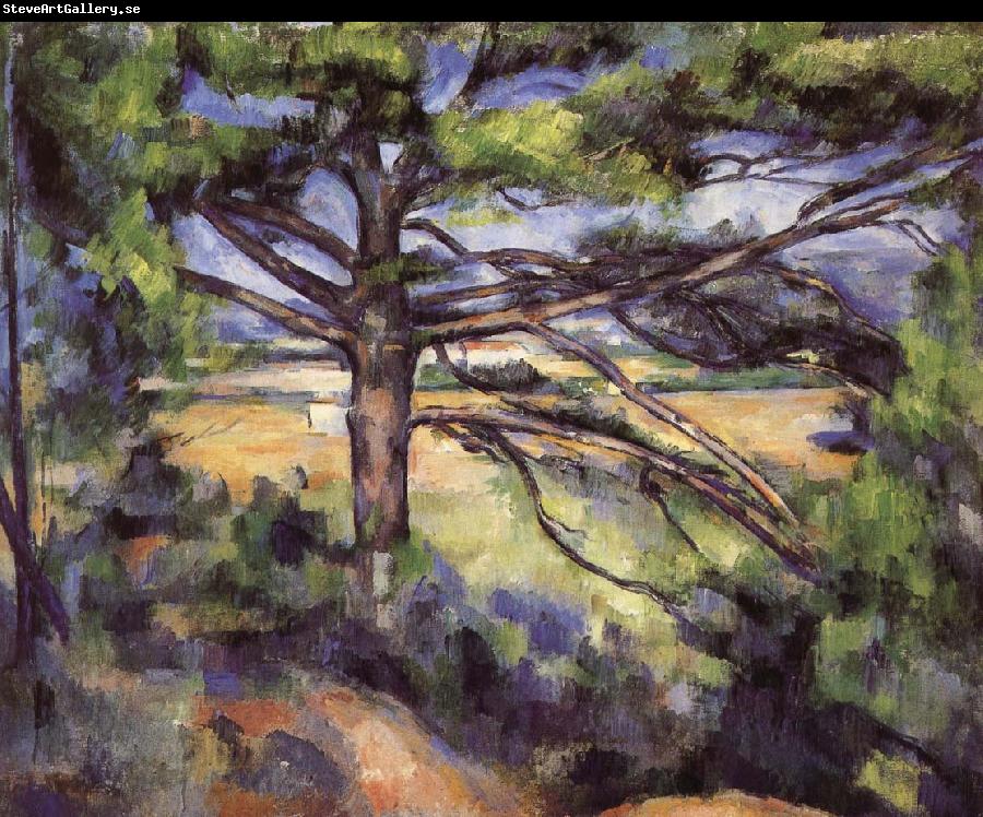 Paul Cezanne pine